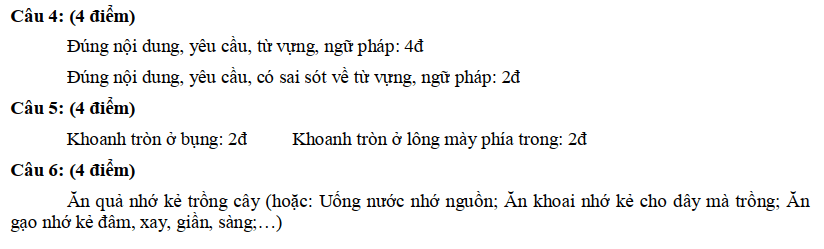 Giải đề thi khảo sát tự luận vào lớp 6 Trần Đại Nghĩa 2015 2016